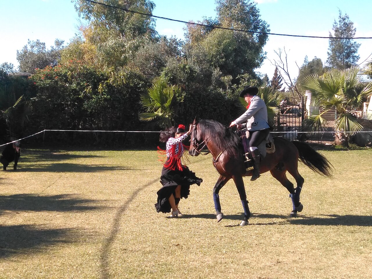 Vestido de flamenca tradicional en una feria con caballo